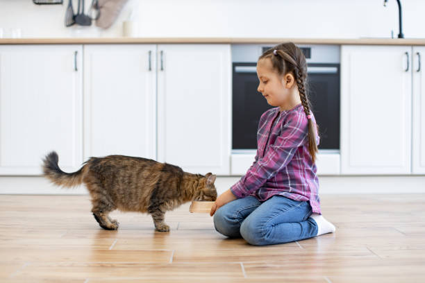 istock Little girl feeding cat in bright modern kitchen 2160132068