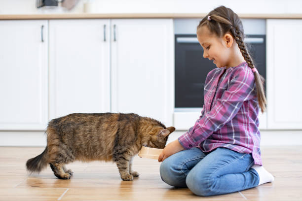 istock Little girl feeding cat in modern kitchen 2160132085