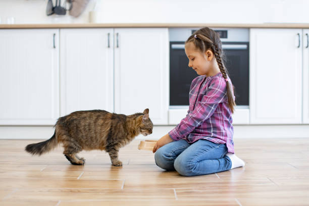 Little girl feeding pet cat in bright modern kitchen