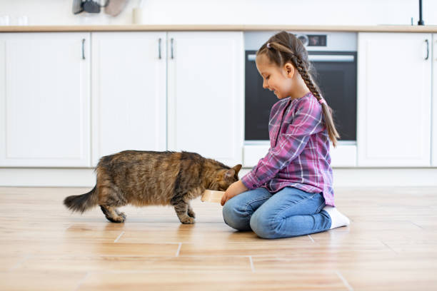 istock Little girl feeding cat from bowl in kitchen 2160132096
