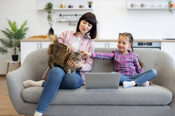 istock Mother and daughter bonding with cat while using laptop at home 2160132213