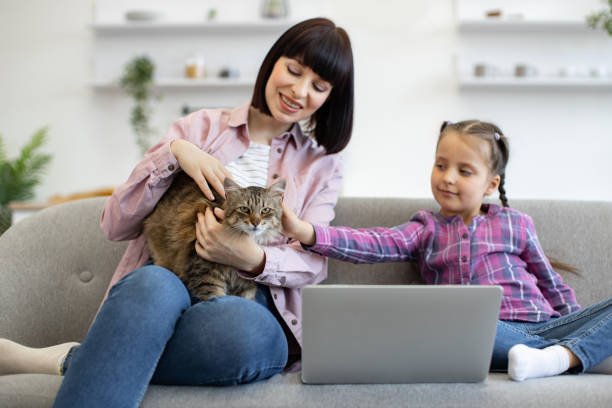 istock Mother and daughter with cat using laptop on cozy sofa 2160132230
