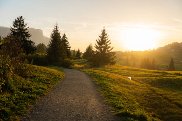 istock Hiking path in Seiser Alm at sunrise 2160140909