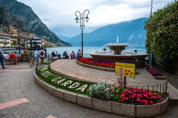 Bonsai tree on Limone sul Garda.