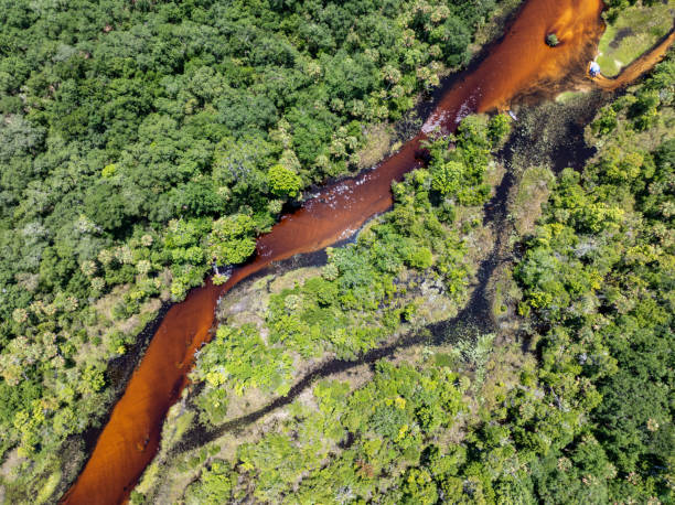 istock Red Jungle River Aerial 2160142422
