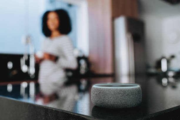 Conceptual view of a smart speaker AI