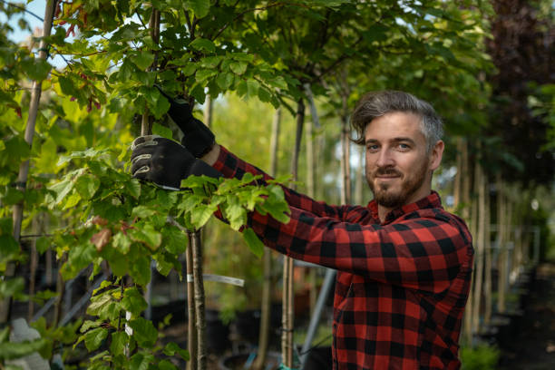 istock A young gardener prunes trees in a nursery. 2160152841