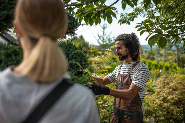 istock The gardener in the nursery 2160152871
