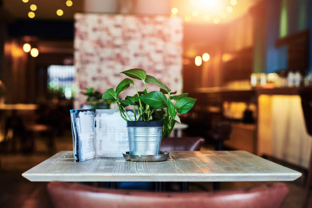 istock Table, plant and menu in empty restaurant with interior design for service, hospitality and rustic. Luxury, space and cafe with furniture for fine dining, lunch or coffee break with decor 2160157237