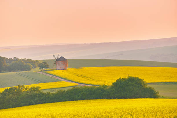istock Old windmill in blooming Spring landscape with rolling hills. Yellow colza canola fields in sunset light. Kunkovice, Moravia, Czech 2160160749