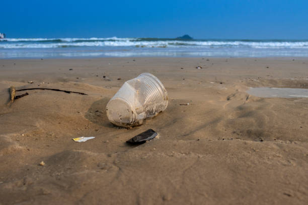 Plastic cup thrown like garbage on the sand of the  beach in Brazil