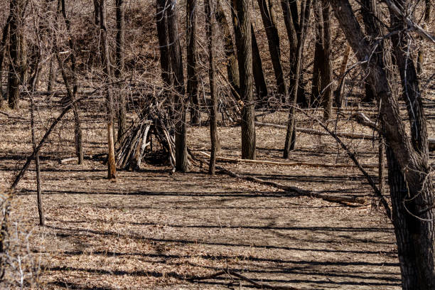 tent in the grassland footage