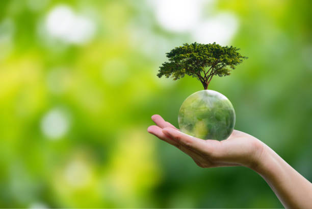 istock Global sustainable environment concept. Human hand holding green globe with growing big tree on green background save our planet, world environment day, earth day, ESG, net zero, and climate change. 2160169902