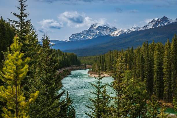 istock Blue Sky Over A Banff Mountain Valley 2160172671