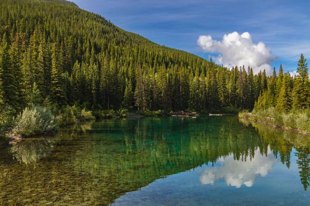 istock Reflection Of Trees In The Lake 2160172945