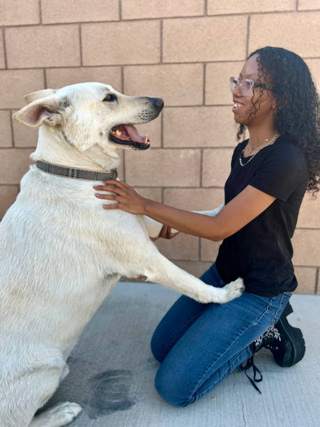 istock Girl hugging German Shepherd 2160177998