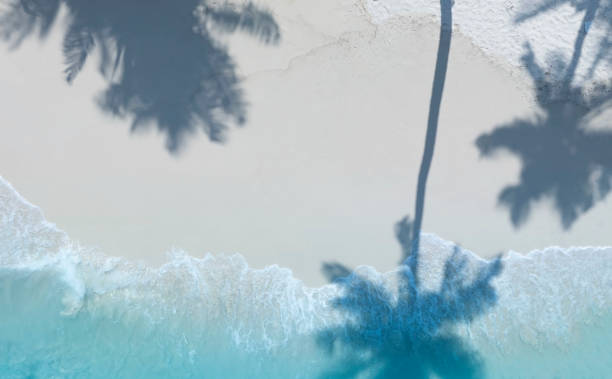 istock Summer palm tree  and Tropical beach with blue  of seashore background 2160183557