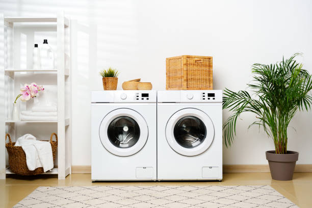 istock Modern Laundry Room With White Appliances and Greenery 2160185003