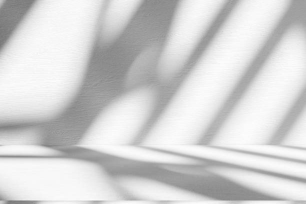 istock Wall interior background, studio and backdrops show products.with shadow from window color white . background for text insertion and presentation product 2160187257
