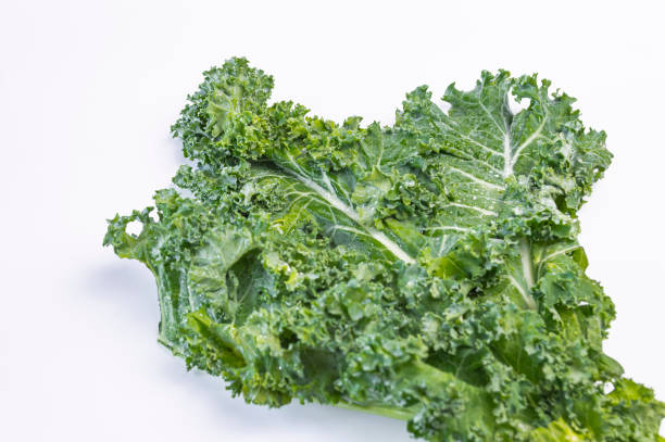 istock Curly kale is not green. 2160191843