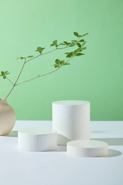 istock Creative background photo with empty showcase platform displayed in the center for product presentation, decorated with a flower vase, against light green background. Front view, space for text 2160193439