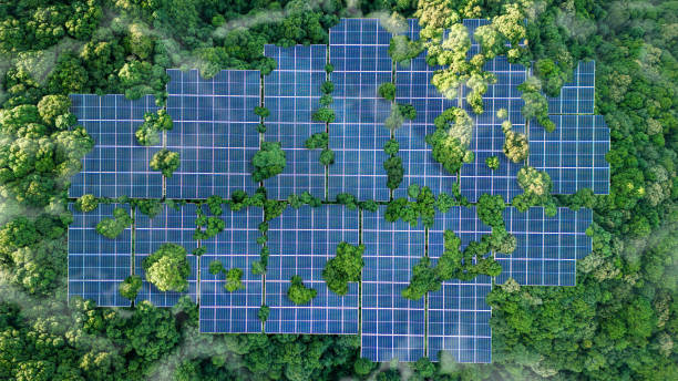 istock Solar panels installed in the green forest Clean alternative energy concept. Environment, solar energy, generator. 2160196566