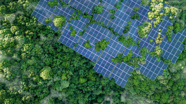 istock Solar panels installed in the green forest Clean alternative energy concept. Environment, solar energy, generator. 2160196575