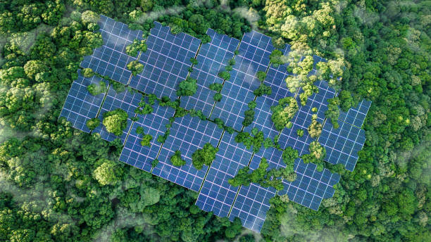 istock Solar panels installed in the green forest Clean alternative energy concept. Environment, solar energy, generator. 2160196576