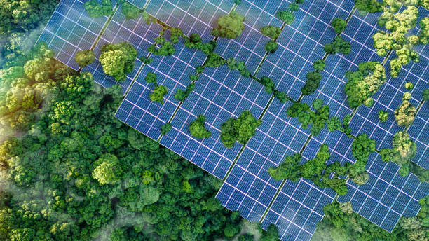 istock Solar panels installed in the green forest Clean alternative energy concept. Environment, solar energy, generator. 2160196578
