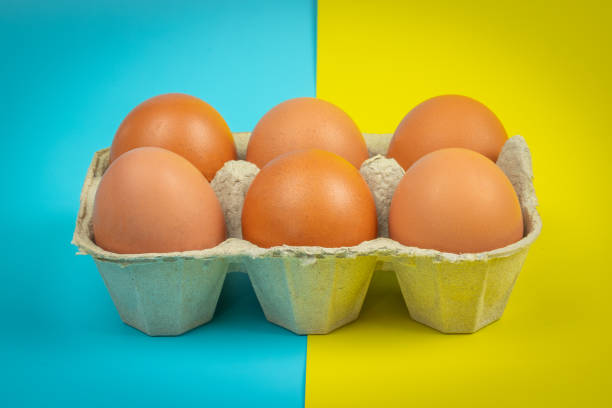 box of six eggs, close-up