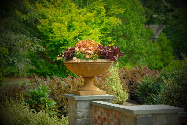 Beautiful flower arrangement in a pot