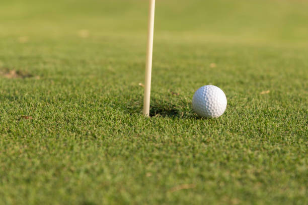 istock Close-up of golf ball on grass golf course and sunrise background. 2160207344