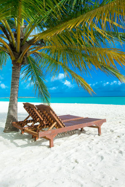istock beautiful beach and tropical sea 2160208977