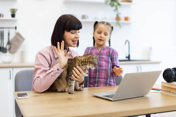 istock Mother and daughter having video call with cat on desk 2160209072