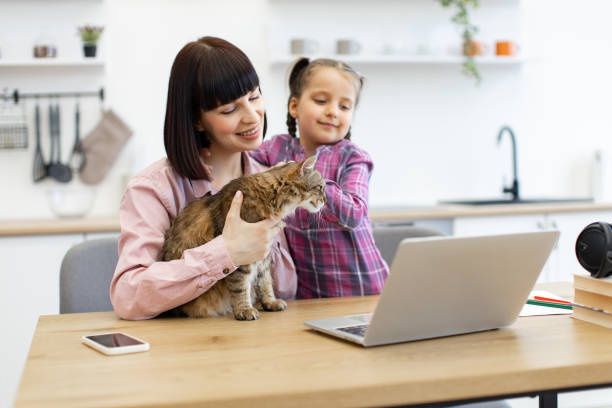 istock Mother and daughter with cat using laptop at kitchen table 2160209075