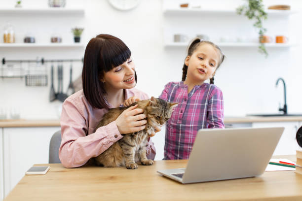 istock Mother and daughter with cat watching video on laptop in kitchen 2160209077