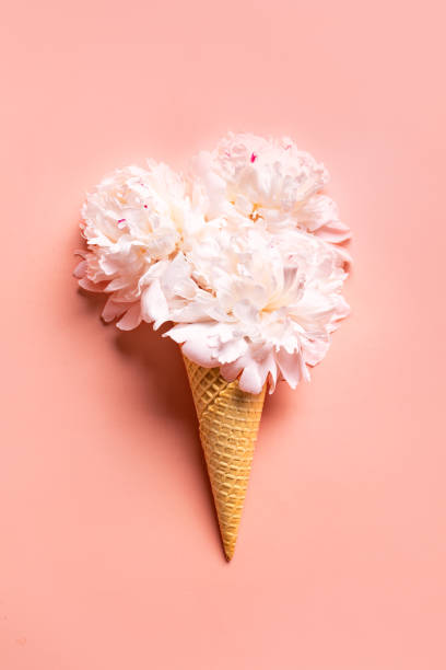 istock Pink peony flowers in waffle cone, 2160210520