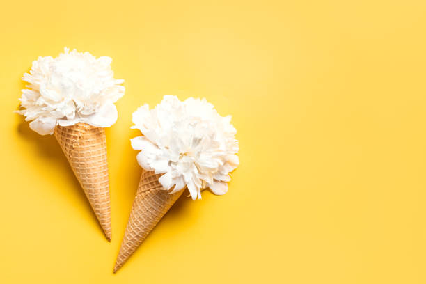istock White peony flowers in waffle cone 2160210651