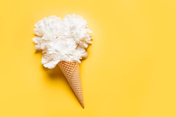 istock White peony flowers in waffle cone 2160210726