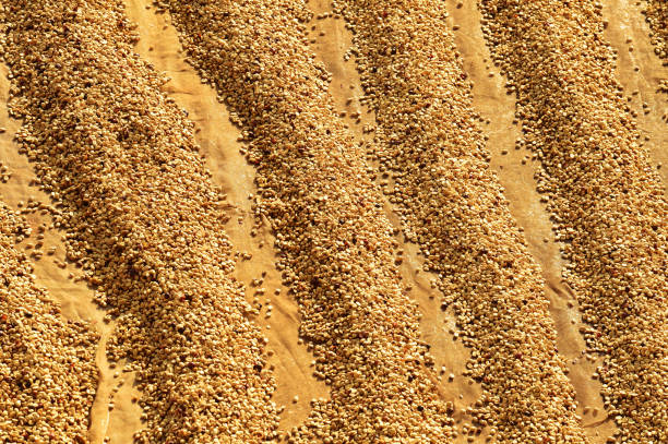 A bag of millet in market