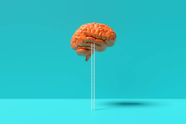 istock Ladder leaning onto a human brain. 2160216759