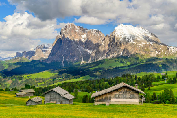 istock Seiser Alm or Alpe di Siusi in the Dolomites during springtime 2160216883