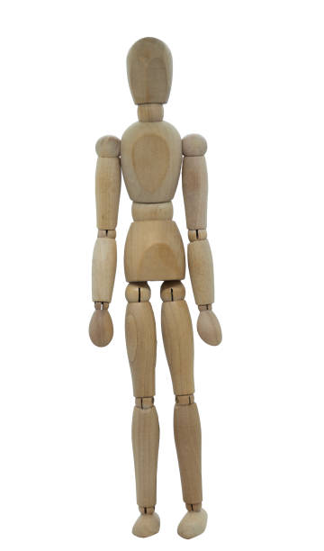 istock Jointed wooden figure standing upright with arms by side 2160218713