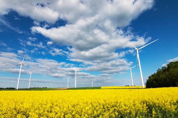 istock Green energy of wind turbines 2160223818