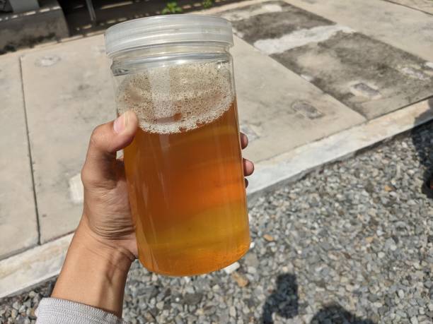 istock Hand holding a jar of industry oil sample 2160224106