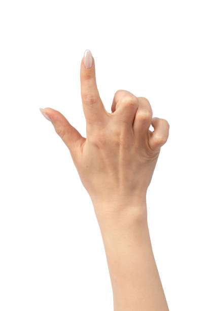 istock Woman hands  isolated on a white background. 2160224452