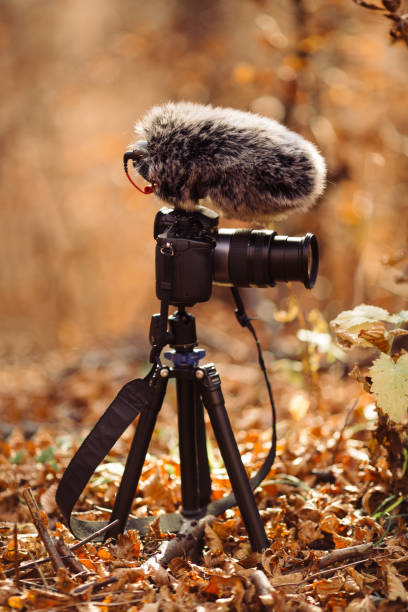 istock Professional Camera with Microphone Set Up in Autumn Forest 2160225468