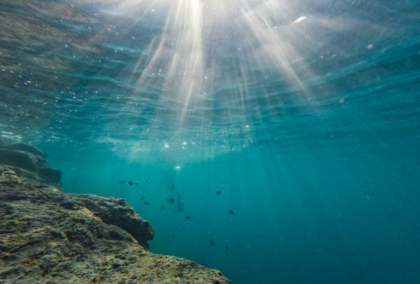 Photo taken in Saipan, Northern Mariana Islands