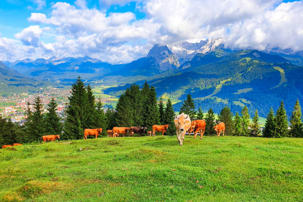 istock Garmisch-partenkirchen town aerial panoramic view, Germany 2160231949