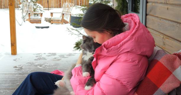 Animal behaviorist cradling cat on snowy porch. Calm cat enjoys winter scene, zookeepers gentle touch. Cat with zookeeper, snowy serenity cat experience. Peaceful and affectionate winter moment conductista animal acunando gato en porche nevado. el gato tranquilo disfruta de la escena invernal, el toque suave de los cuidadores del zoológico. gato con cuidador del zoológico, experiencia de gato de serenidad nevada. momento invernal apacible y car